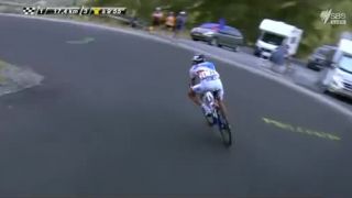 Riadny papuľniak (TDF)