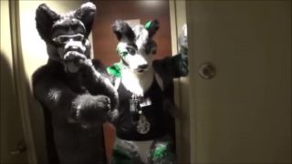 Čo robia vo volnom čase furries