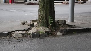 Pohľad na Bratislavskej stanici pohľadom Čecha
