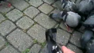 Ako ich lapal ZBOJNÍCKY MLADOŇ Jerguš Lapin? HYPNOTICKY.
