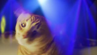 Meow mix