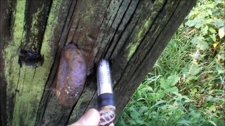 Geocaching - snail :)

