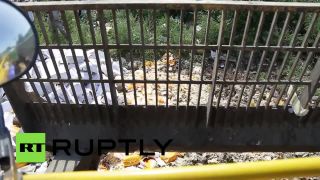 V Rusku zničili 320 ton potravín len za prvý deň.