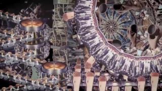 Bonobo ׃ Cirrus [Official Video]