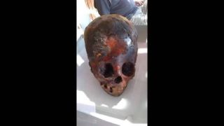 Lebka ze Sealandu – pozůstatky mimozemských bytostí