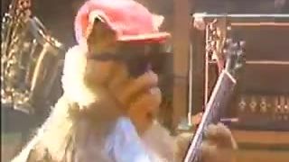 Alf blond parochna a gitara ja skapem :D