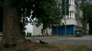 Kritika obšestva - reportáž spod koša - ohltanec obecný