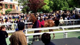 Deauville Basse Normandie - dostihy