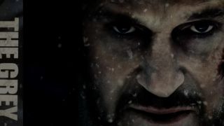 The Grey - Into to fray