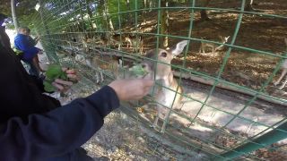 Dinopark+ Zoo Košice