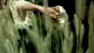 Taylor Swift - Love Story