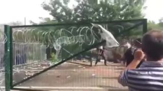 Imigranti prerazili plot v Maďarsku
