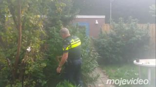 Holandskí policajti už boli po vianočné stromčeky!