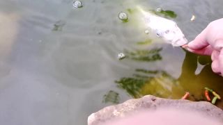 Biely Koi Ňuňo