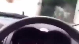Kocúr hudobník