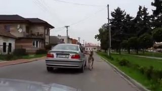 Ako fugas kozu venčil.