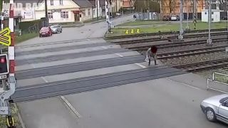 Ľudia vs. vlak