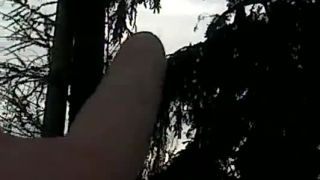 Prestávka č. 30 - Zhypnotizovaná vrana