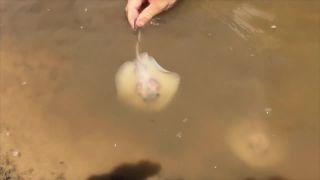 Nechtiac sa stal pôrodným asistentom raje (Austrália)