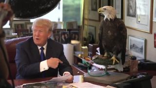 Foto s národným symbolom USA