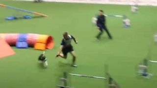 Majster a vicemajster sveta v agility 2015 je zo Slovenska