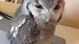 Heeeej!!!