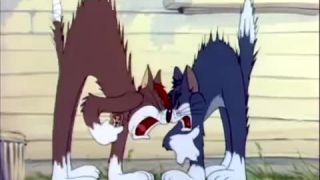 Tom & Jerry vs. System Of a Down (brutálny zostrih)