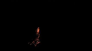 Silvester2013