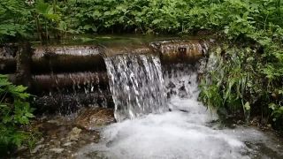 Močopudne video z tatier.