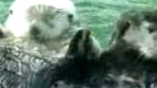Holding hands