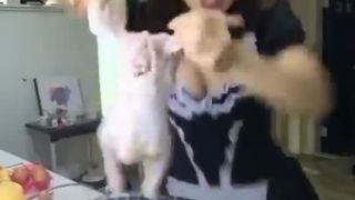 Nehorázna p***