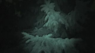 Test nočného videnia (Sony FDR-AX33)