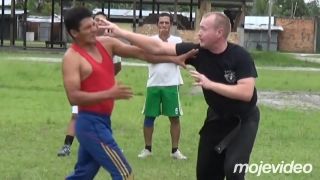 Kung Fu San Soo (功夫散手) vs. Karate ( 空手)