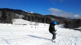Micho na brestovej