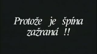 Česká soda - Prasatá