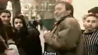 Děti imigrantů  naše budoucnost, aneb krádeže, loupeže na 