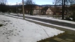 PSIK A MACICKA V NEDELU.