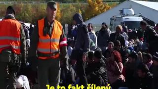 Vytvárajú kultúrny stret, hovorí s obavami. Podobný strach 
