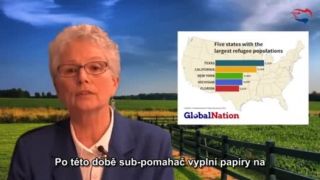 Šialené obvinenie rakúskych špiónov – imigráciu do Euró