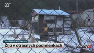 Nekonečná rozprávka o lepšom živote.