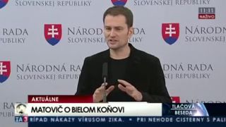 Vyjadrenie ku Ficovej rozprávke o bielom koňovi
