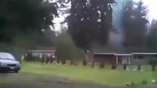 Hlúposť vs strom