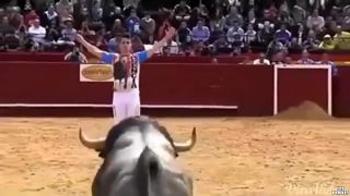 Človek a býk 2