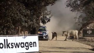 Rally o chlp