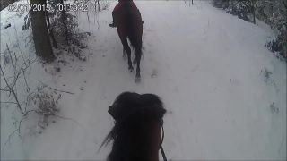JK Pod Planinou - zima pri koňoch