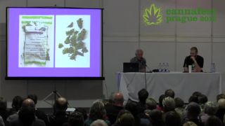 L. Hanuš, Cannafest 2015 o liečivom konopí
