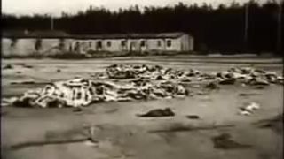 História: Osvienčim - Utrpenie 2