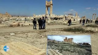 Palmyra pred a po