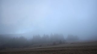 Sound of Silence