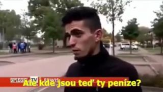 Imigranti přicházející do států Evropské  -  8